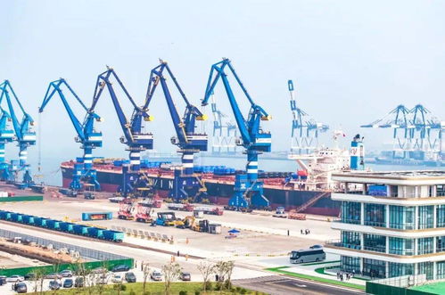 中國物流與采購聯合會件雜貨國際物流分會成立大會暨2025年件雜貨國際物流發展大會在煙臺舉行