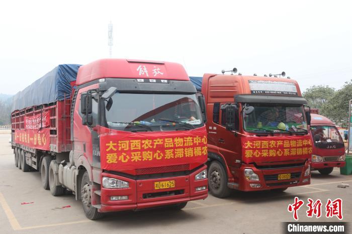 “80后”海歸青年葉烽:讓貧困戶的農產品進入暢銷“快車道”