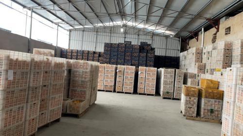 橙心優選牽手贛州市果業局 提速農產品源頭直采計劃