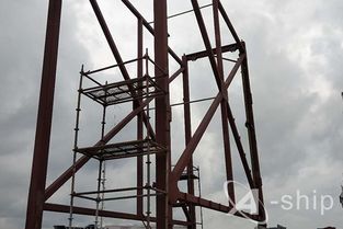 國內糧食運輸費用